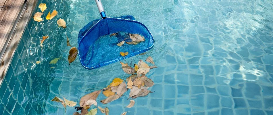 Pool skimmer picking up leaves in a pool in Bridgehampton, NY.