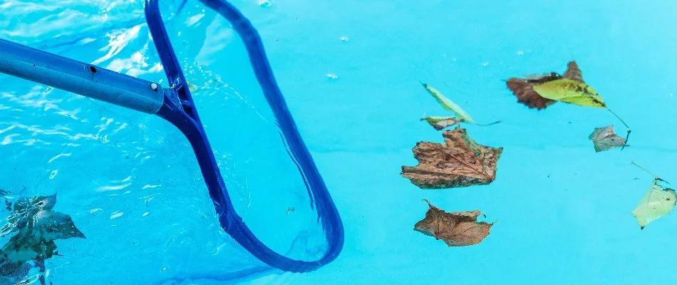 Skimming leaves from a pool in Springs, NY.